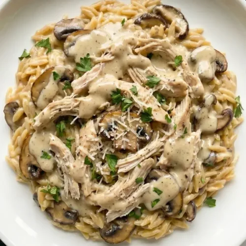 One-pot creamy mushroom chicken orzo served on a plate with tender chicken, mushrooms, and a rich creamy sauce, an easy dinner recipe.
