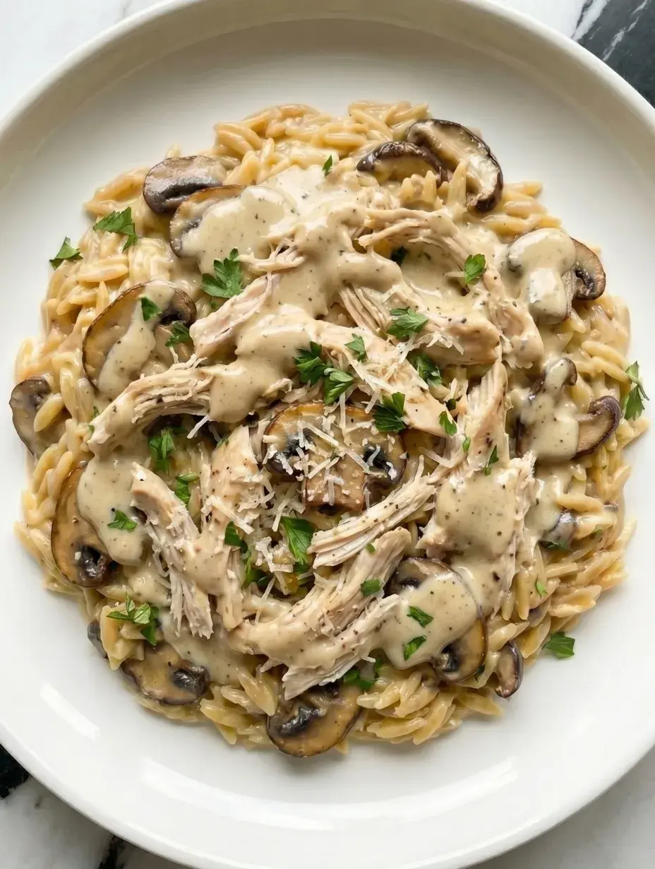 One-pot creamy mushroom chicken orzo served on a plate with tender chicken, mushrooms, and a rich creamy sauce, an easy dinner recipe.